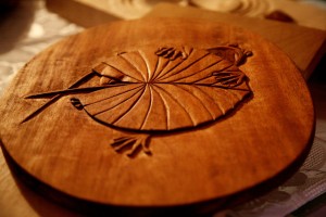 468956_131802866974379_1556604547_o