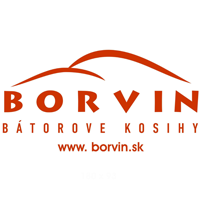Borvin logo