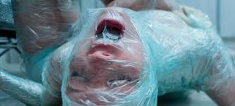 Free Fall/Szabadeses-movie