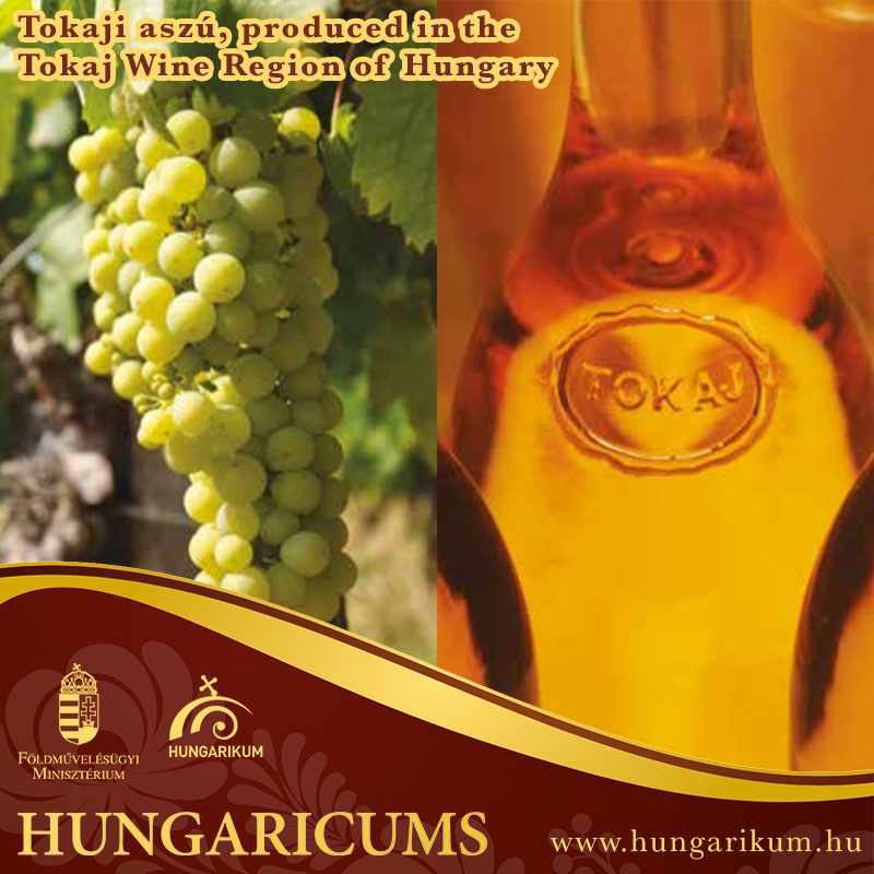 Hungaricum – Tokaji aszú, produced in the Tokaj Wine Region of Hungary