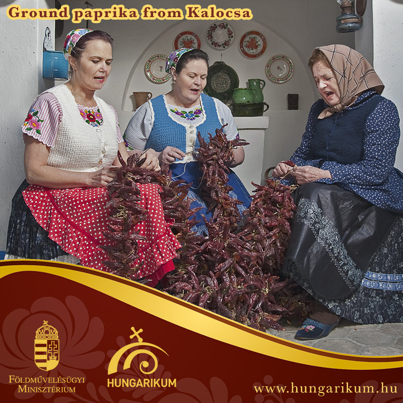 Hungarikum – Ground paprika from Kalocsa