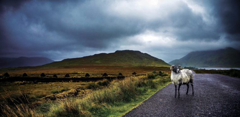 European Capital of Culture in 2020